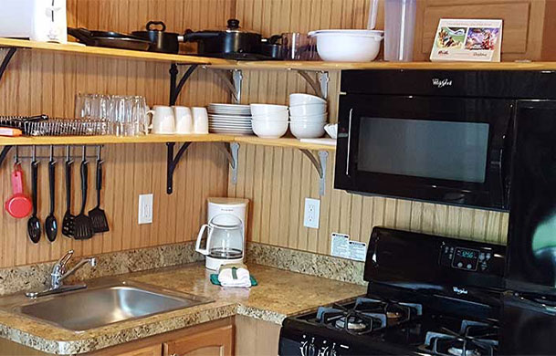 Premium Cabin interior kitchen